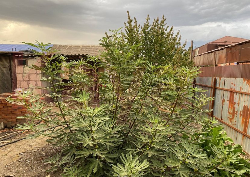 Продажа дома, 66 кв.м фото 4 Продажа дома, 66 кв.м фото 4