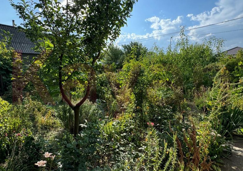 Продажа дачи, 43 кв.м фото 6 Продажа дачи, 43 кв.м фото 6