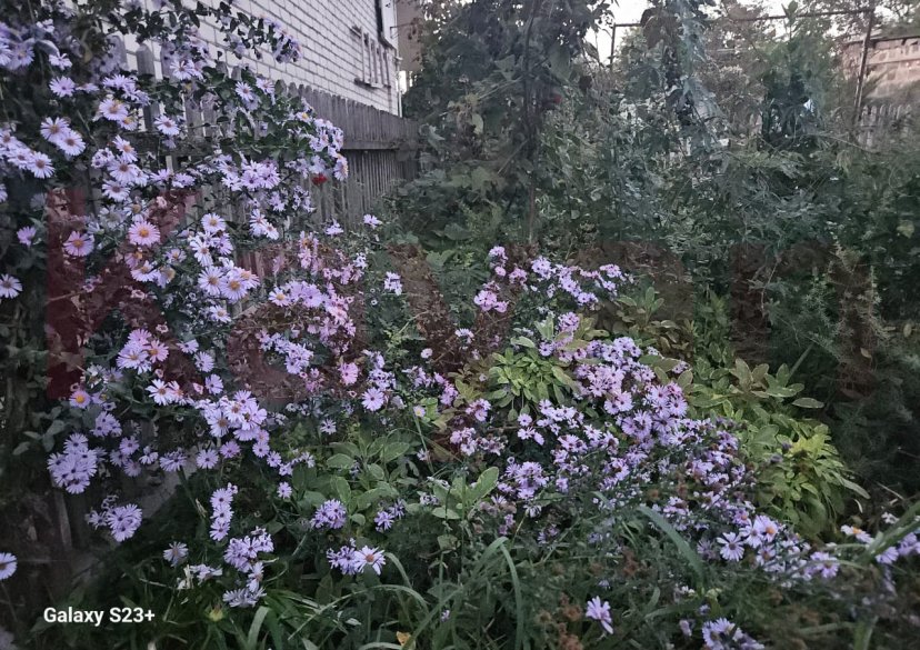 Продажа дома, 233 кв.м фото 22