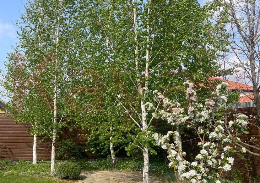 Продажа дома, 169 кв.м фото 21