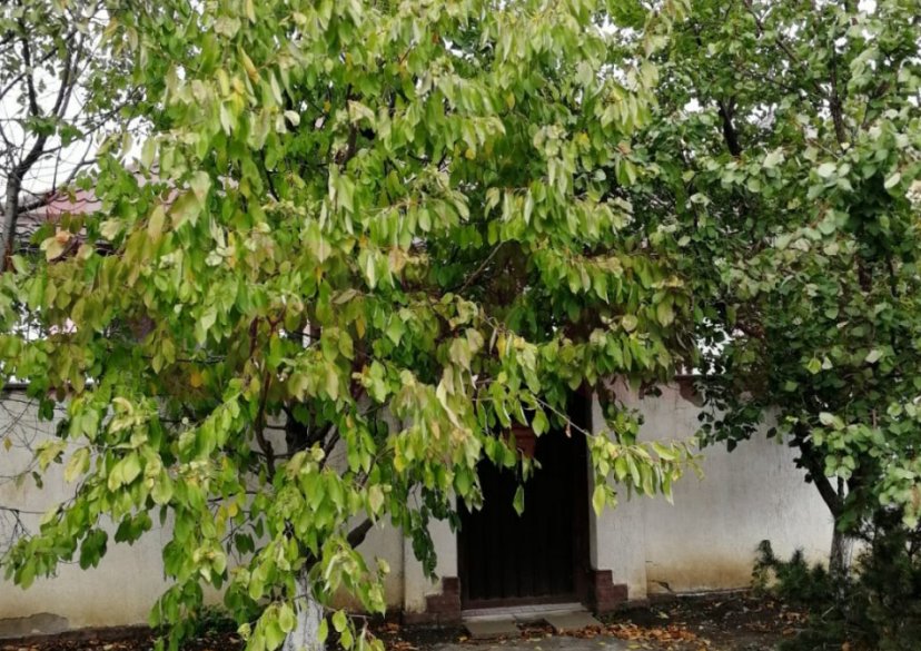 Продажа дома, 100 кв.м фото 12