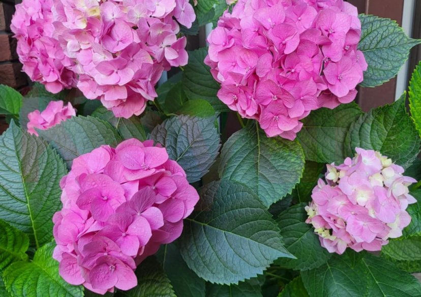 Продажа дома, 170 кв.м фото 24