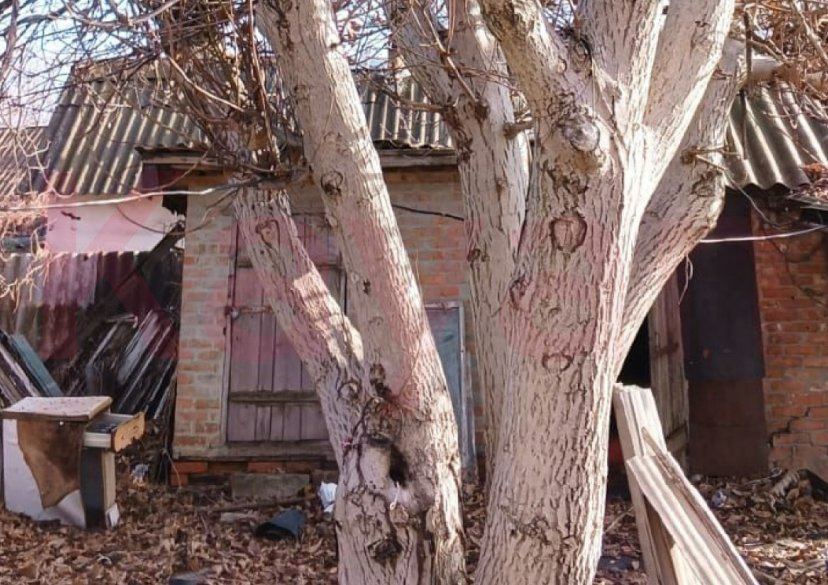 Продажа дома, 36 кв.м фото 4