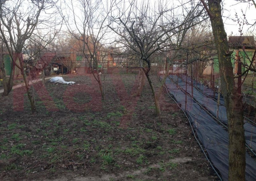 Продажа дома, 25 кв.м фото 6