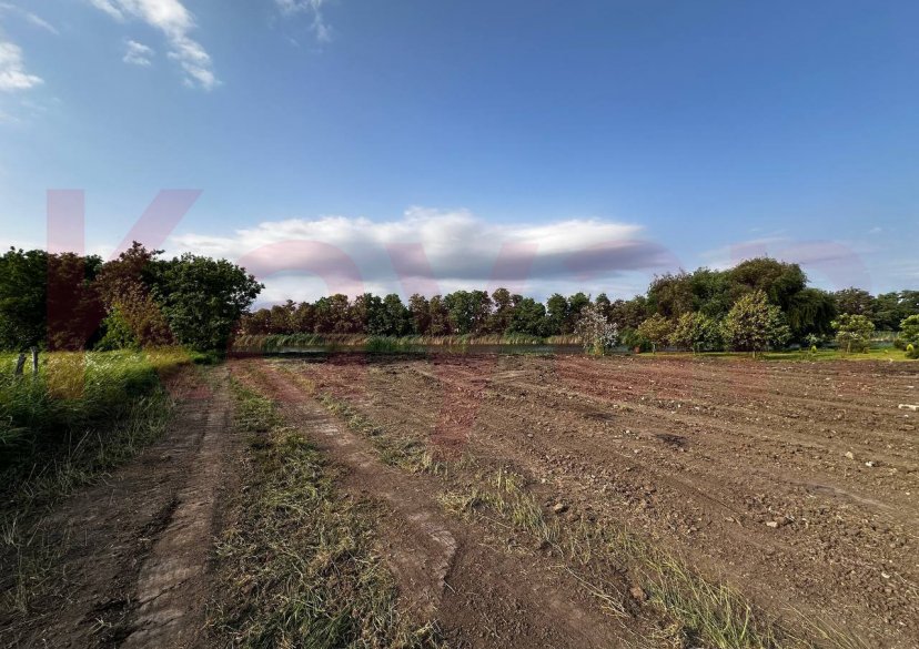 Продажа земельного участка, 34 сот. фото 3