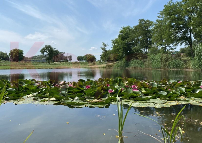 Продажа земельного участка, 10 сот. фото 4 Продажа земельного участка, 10 сот. фото 4