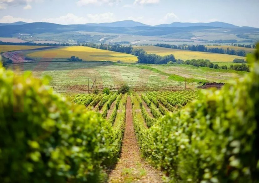 Продажа земельного участка, 68000 сот. фото 0 Продажа земельного участка, 68000 сот. фото 0