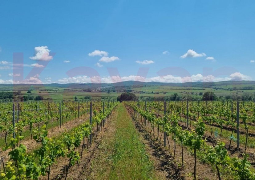 Продажа земельного участка, 68000 сот. фото 2 Продажа земельного участка, 68000 сот. фото 2