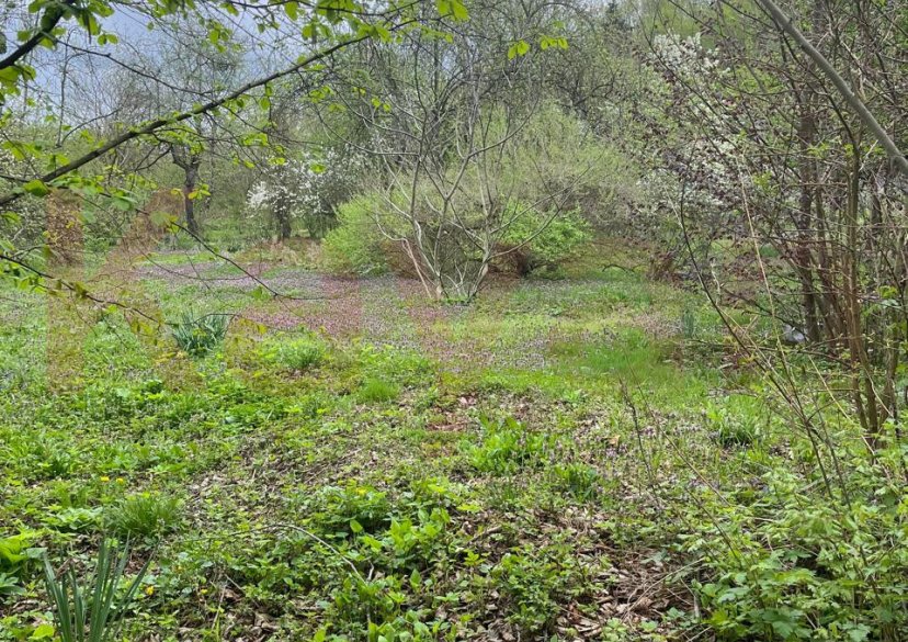 Продажа земельного участка, 15 сот. фото 14