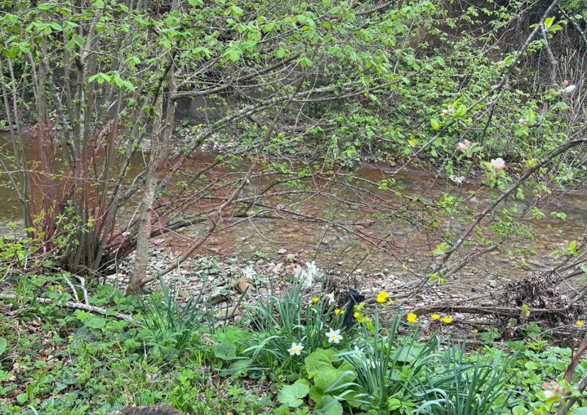 Продажа земельного участка, 15 сот. фото 3 Продажа земельного участка, 15 сот. фото 3