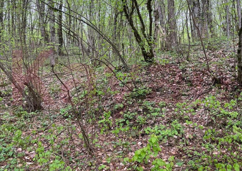 Продажа земельного участка, 15 сот. фото 5 Продажа земельного участка, 15 сот. фото 5