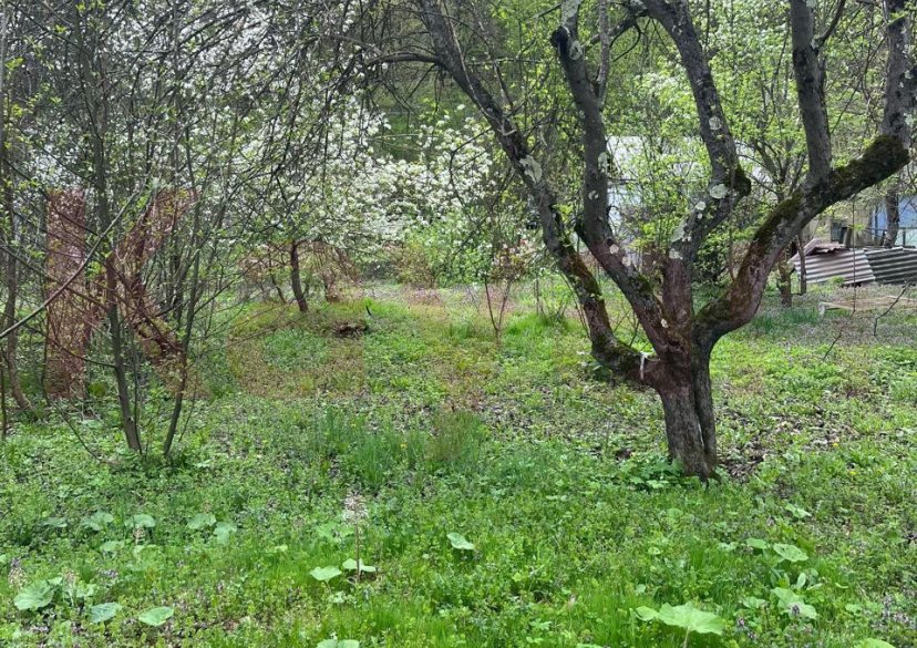 Продажа земельного участка, 15 сот. фото 8 Продажа земельного участка, 15 сот. фото 8