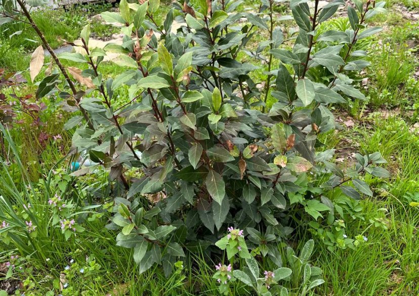 Продажа земельного участка, 15 сот. фото 18