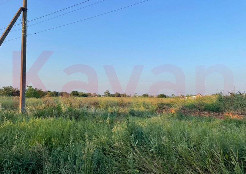 Продажа земельного участка, 42 сот. фото 3