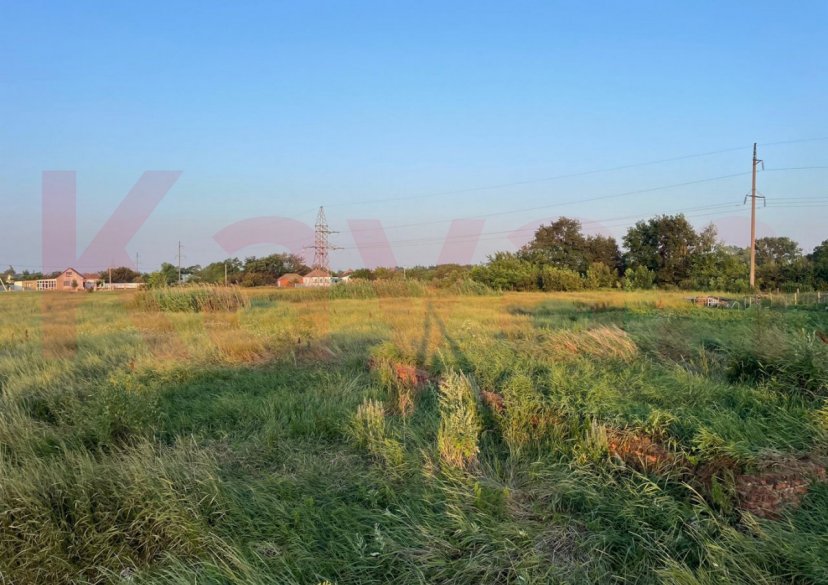 Продажа земельного участка, 42 сот. фото 4