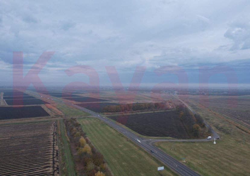 Продажа земельного участка, 100 сот. фото 3