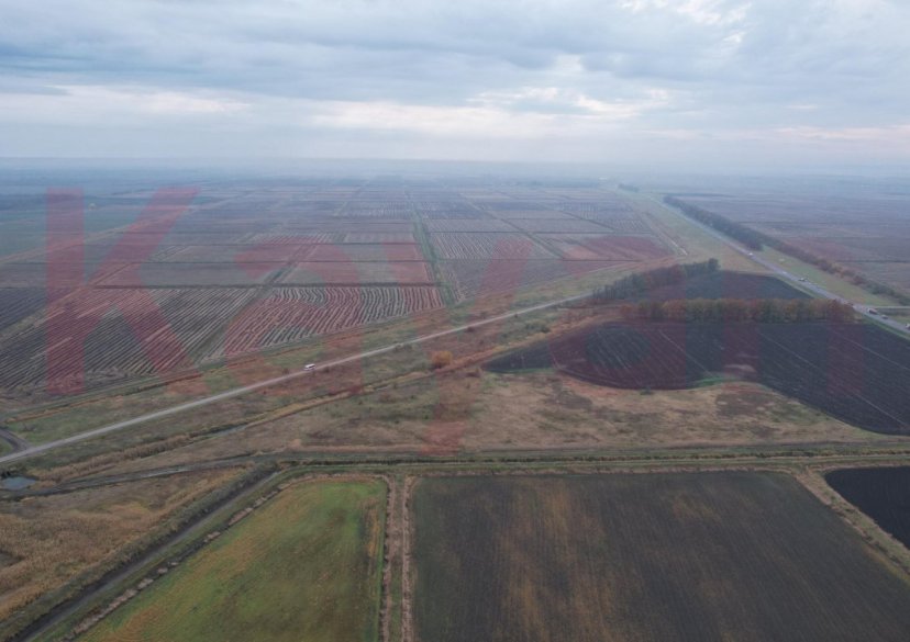 Продажа земельного участка, 100 сот. фото 6