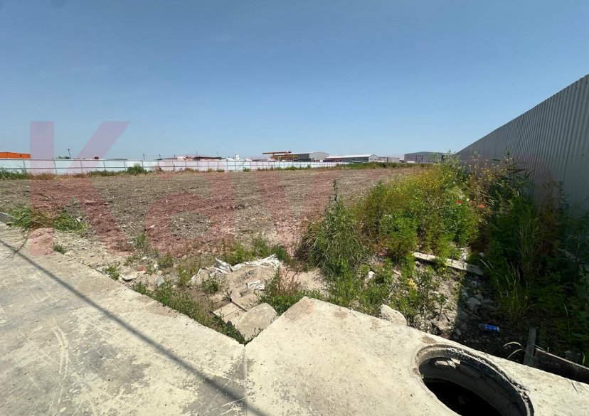 Продажа земельного участка, 50 сот. фото 4