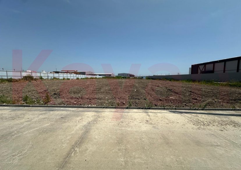 Продажа земельного участка, 50 сот. фото 0