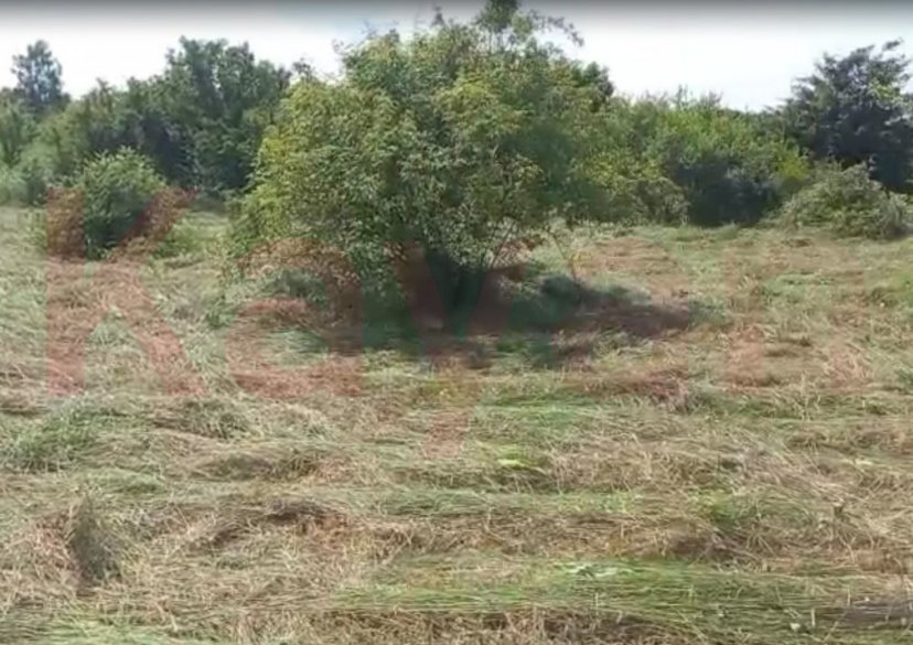 Продажа земельного участка, 9 сот. фото 3 Продажа земельного участка, 9 сот. фото 3