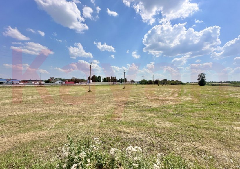 Аренда земельного участка, 220 сот. фото 4 Аренда земельного участка, 220 сот. фото 4