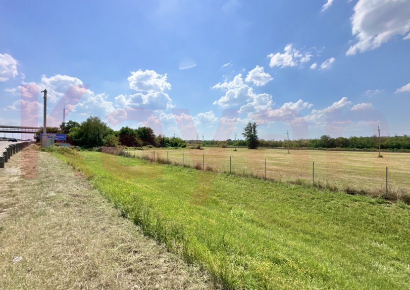 Аренда земельного участка, 220 сот. фото 5 Аренда земельного участка, 220 сот. фото 5