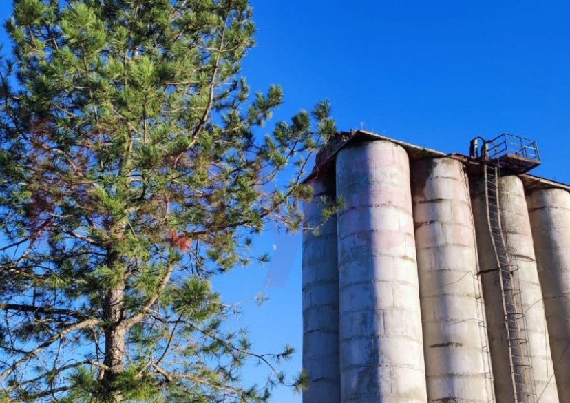 Продажа земельного участка, 1640 сот. фото 5 Продажа земельного участка, 1640 сот. фото 5