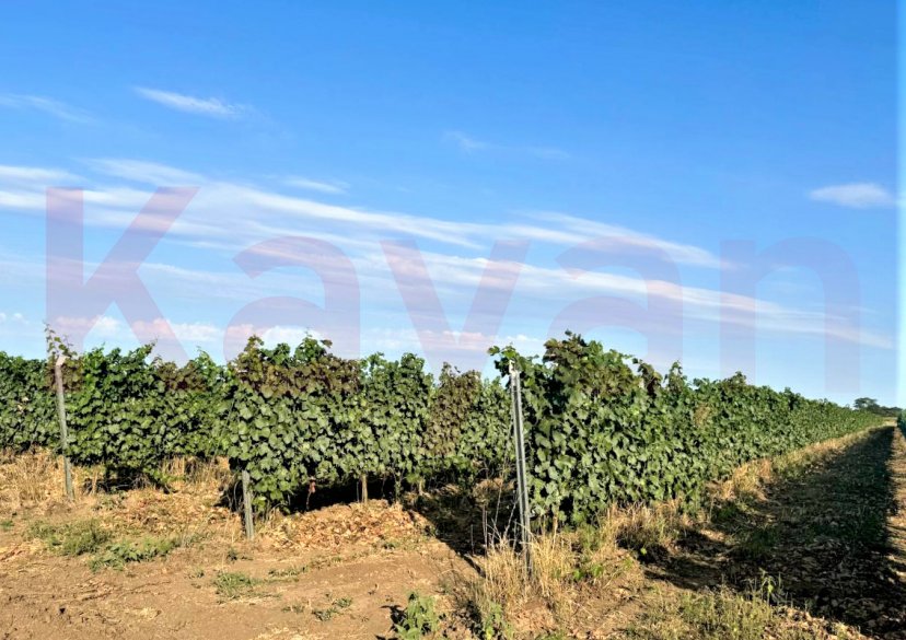 Продажа земельного участка, 2480 сот. фото 0