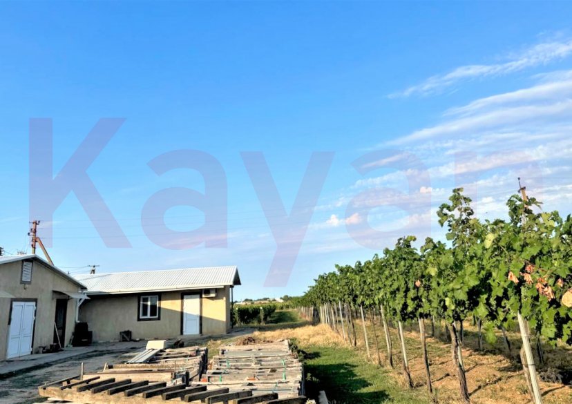 Продажа земельного участка, 2480 сот. фото 2