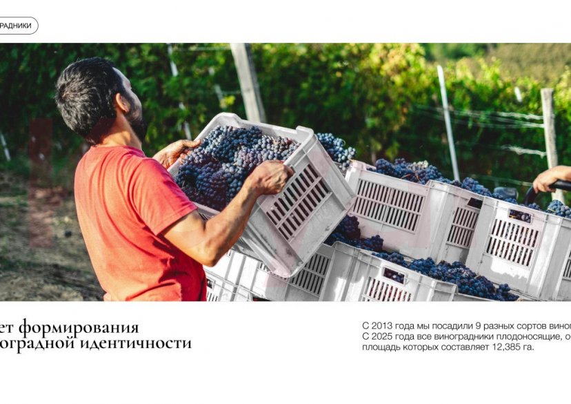 Продажа земельного участка, 2480 сот. фото 15 Продажа земельного участка, 2480 сот. фото 15