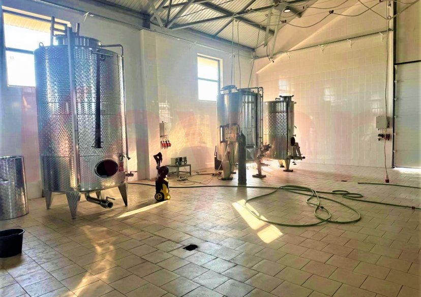 Продажа земельного участка, 2480 сот. фото 6 Продажа земельного участка, 2480 сот. фото 6