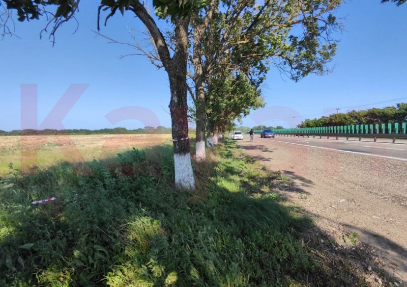 Продажа земельного участка, 164 сот. фото 4 Продажа земельного участка, 164 сот. фото 4