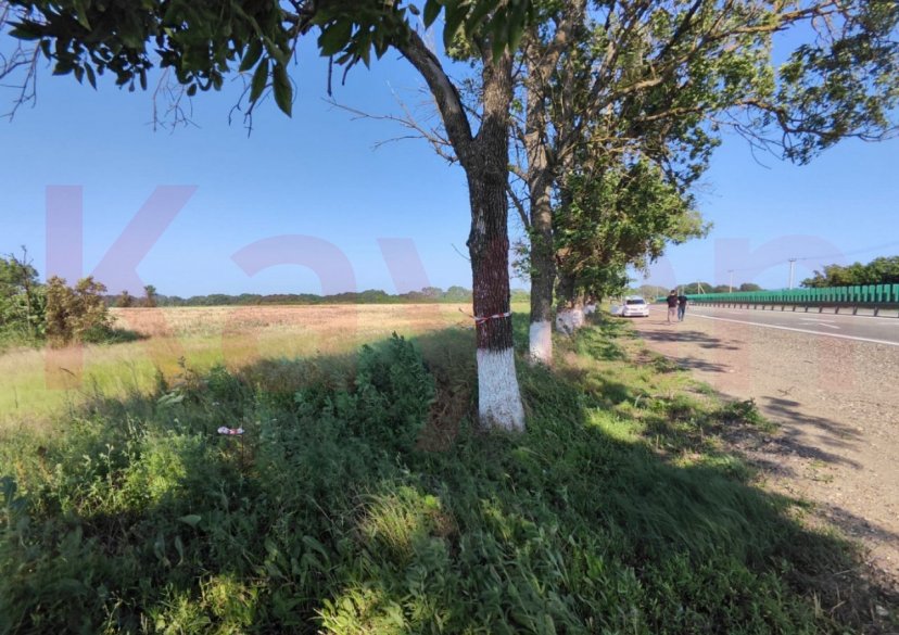 Продажа земельного участка, 164 сот. фото 3