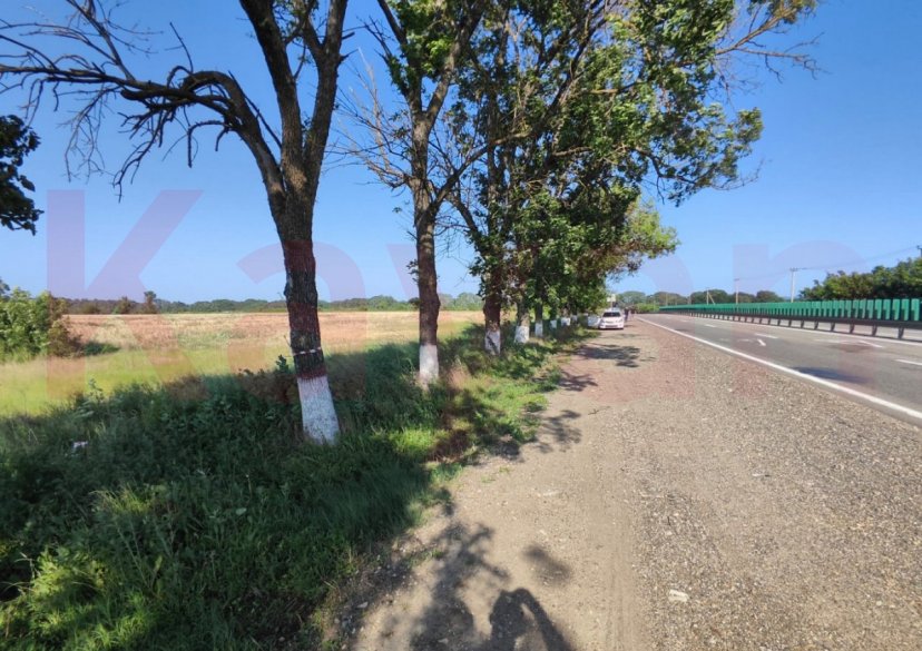 Продажа земельного участка, 164 сот. фото 5 Продажа земельного участка, 164 сот. фото 5