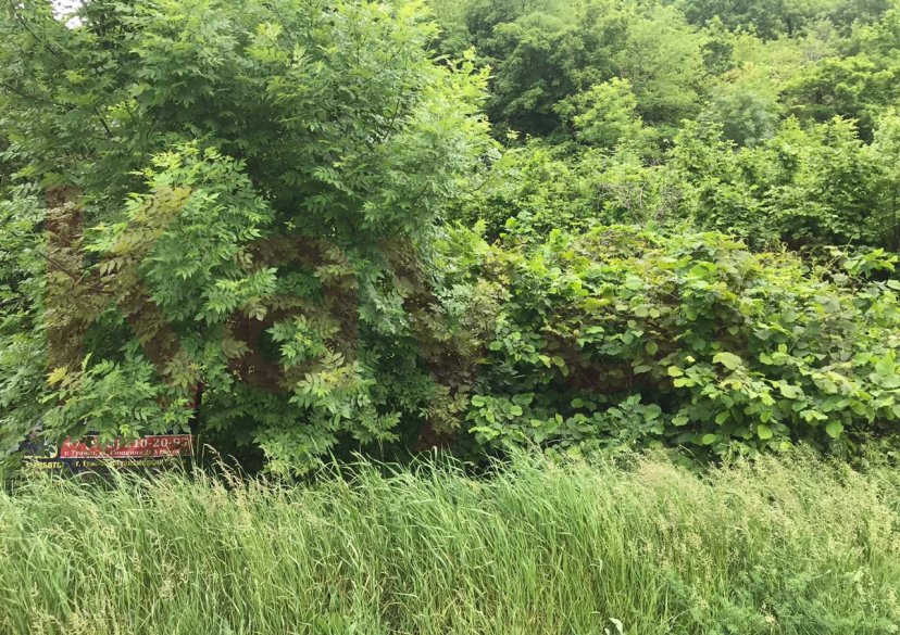 Продажа земельного участка, 6 сот. фото 1