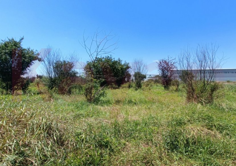 Продажа земельного участка, 10 сот. фото 6