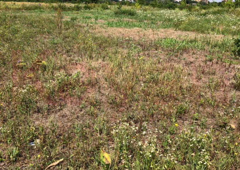 Продажа земельного участка, 25 сот. фото 5