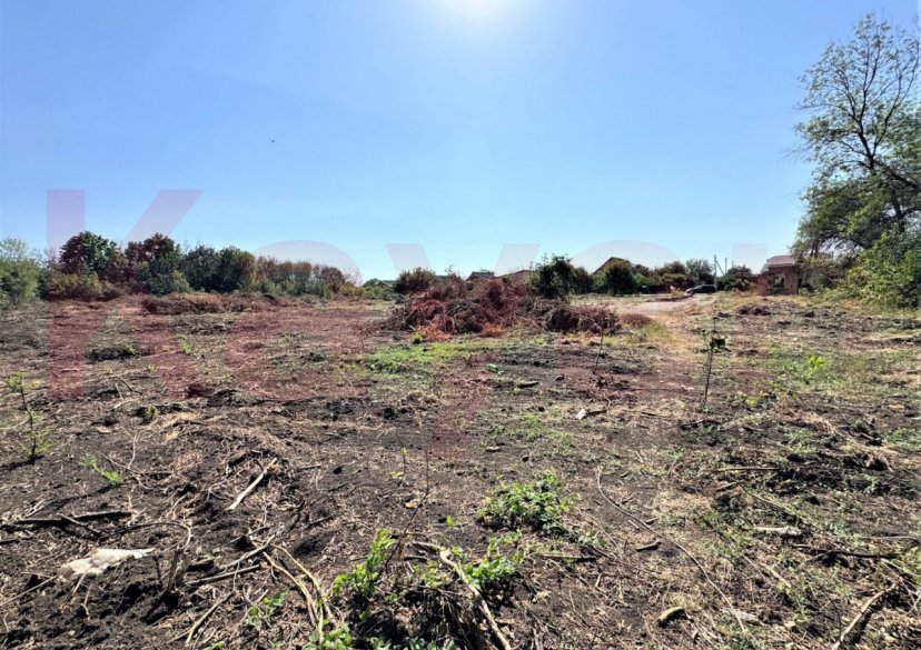 Продажа земельного участка, 81 сот. фото 6 Продажа земельного участка, 81 сот. фото 6