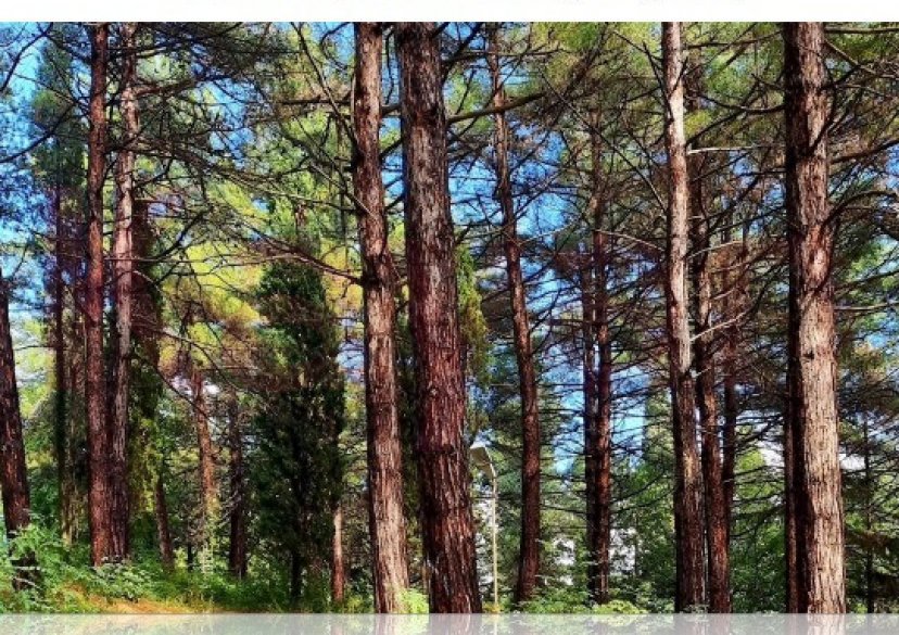 Продажа земельного участка, 10 сот. фото 14 Продажа земельного участка, 10 сот. фото 14