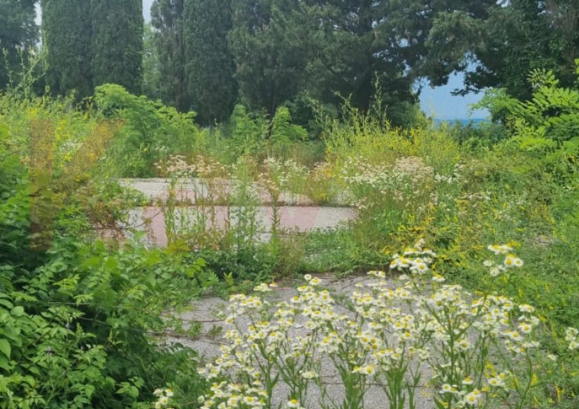 Продажа земельного участка, 10 сот. фото 19 Продажа земельного участка, 10 сот. фото 19