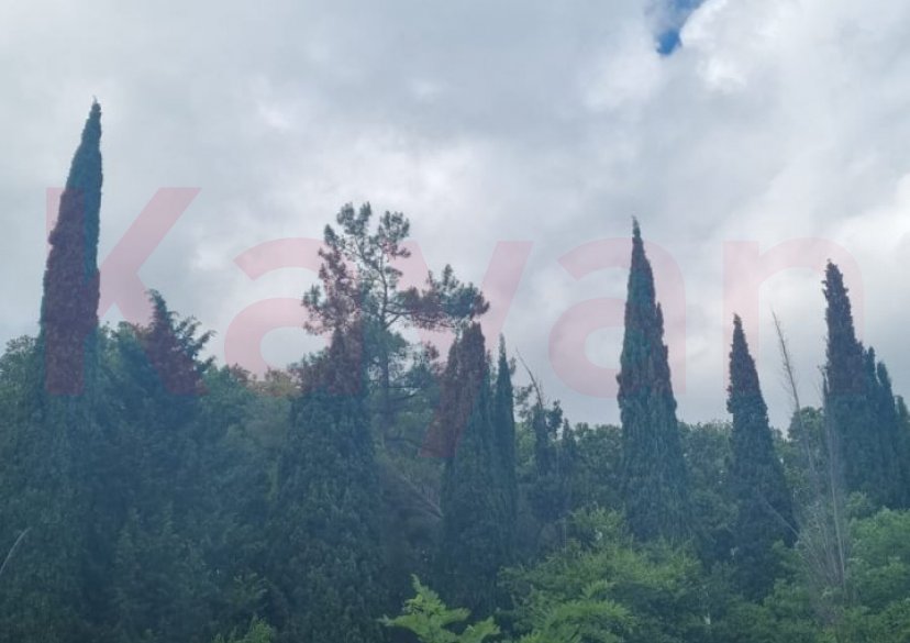 Продажа земельного участка, 10 сот. фото 20 Продажа земельного участка, 10 сот. фото 20