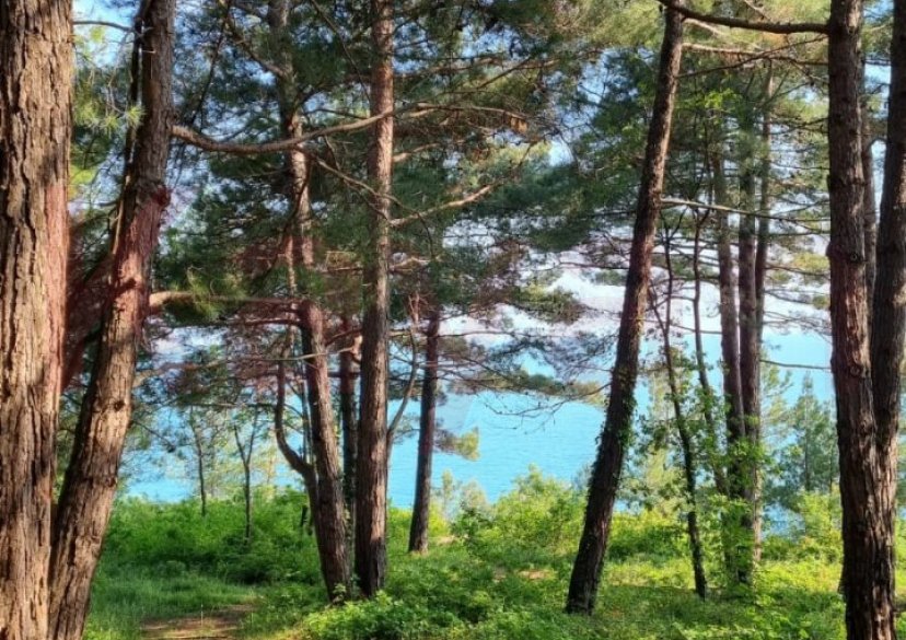 Продажа земельного участка, 10 сот. фото 22 Продажа земельного участка, 10 сот. фото 22