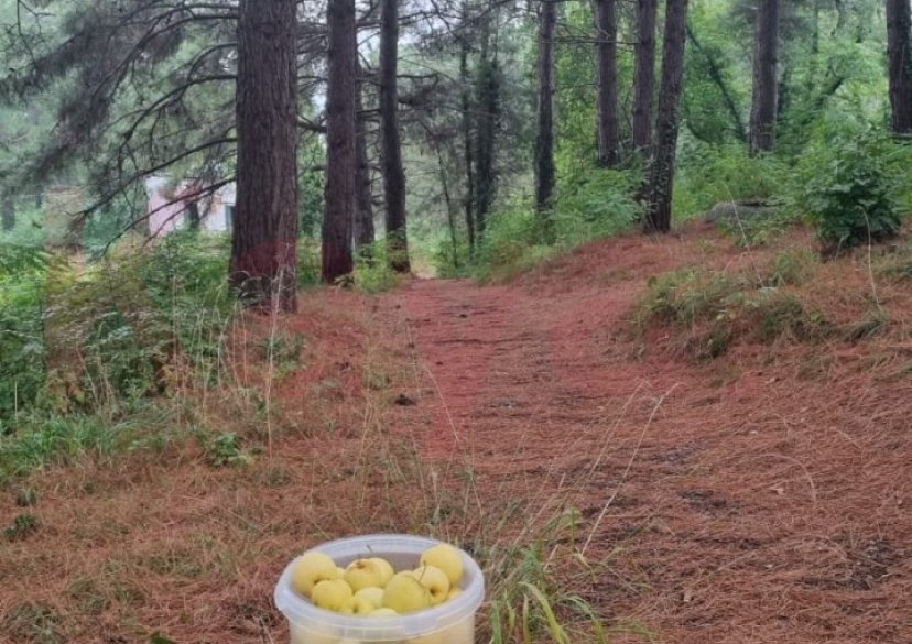 Продажа земельного участка, 10 сот. фото 26 Продажа земельного участка, 10 сот. фото 26