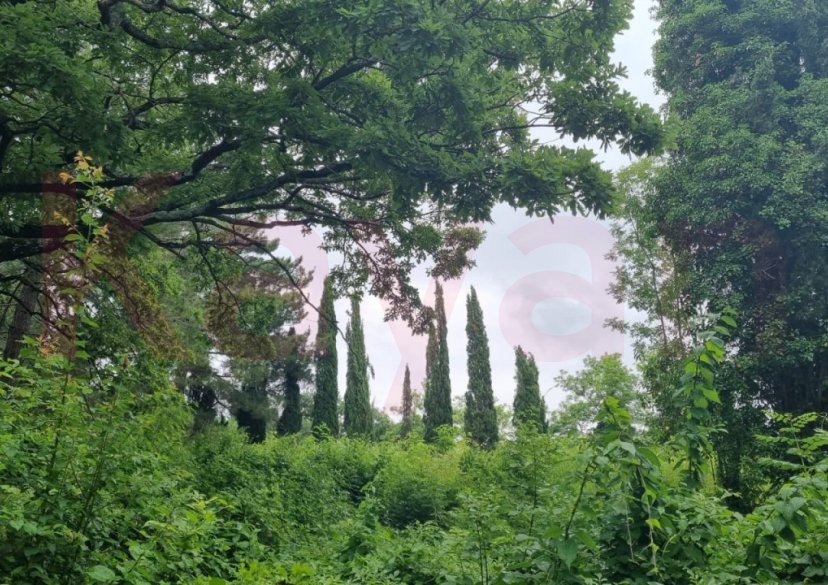 Продажа земельного участка, 10 сот. фото 31 Продажа земельного участка, 10 сот. фото 31