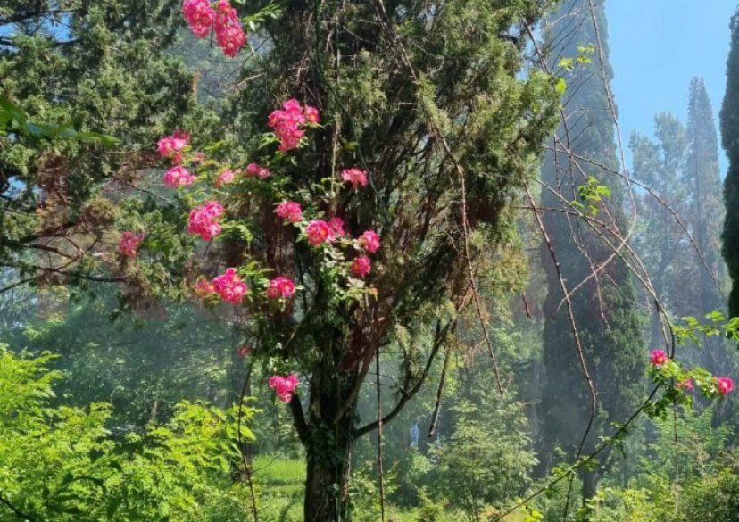 Продажа земельного участка, 10 сот. фото 24 Продажа земельного участка, 10 сот. фото 24