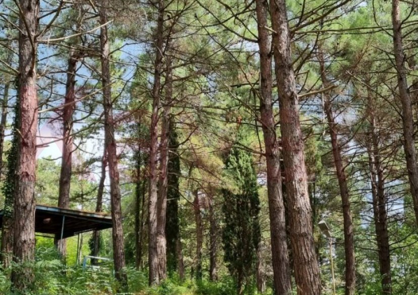 Продажа земельного участка, 10 сот. фото 28 Продажа земельного участка, 10 сот. фото 28