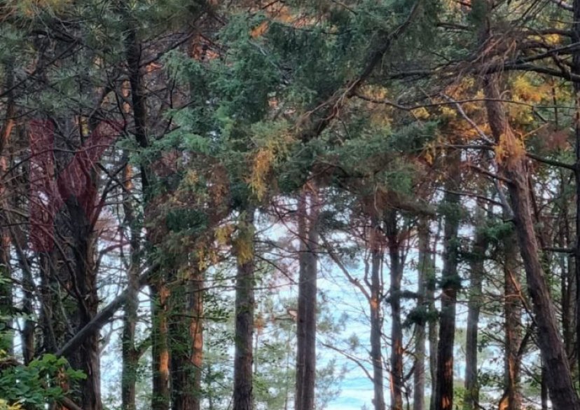 Продажа земельного участка, 10 сот. фото 30 Продажа земельного участка, 10 сот. фото 30