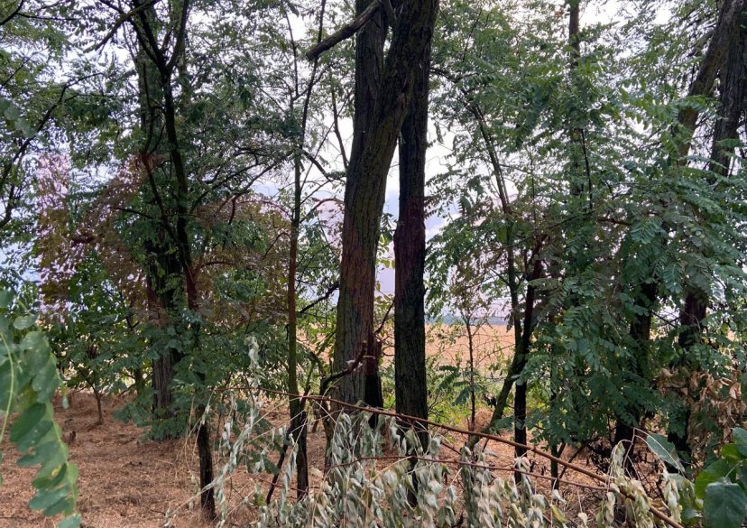 Продажа земельного участка, 6 сот. фото 3 Продажа земельного участка, 6 сот. фото 3