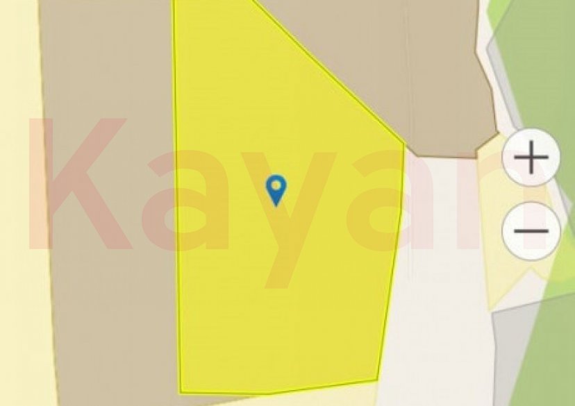 Продажа земельного участка, 3000 сот. фото 9