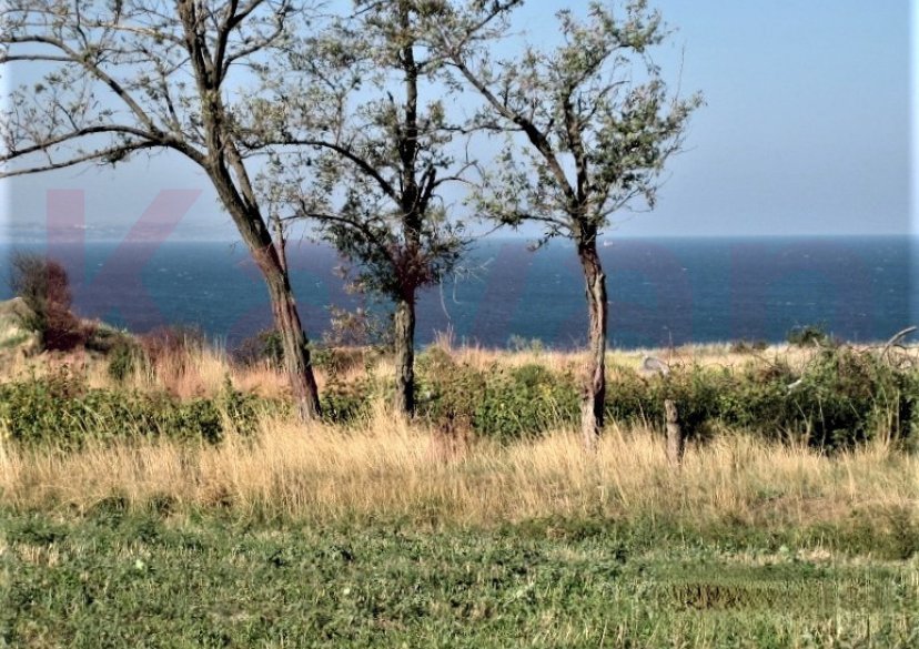 Продажа земельного участка, 374 сот. фото 0 Продажа земельного участка, 374 сот. фото 0